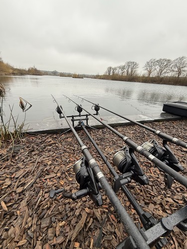 Full carp job lot - ,