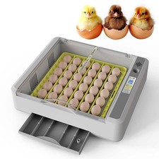 Fully automatic incubator - automatic,