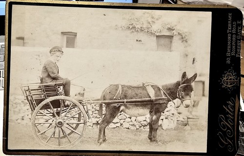 Antique cabinet card photo - antique,