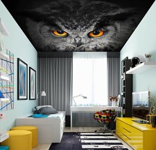 3D Grey Cute Owl 770 WallPaper