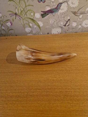 Drinking horn