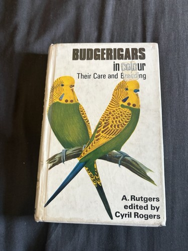 Budgerigars colour their - budgerigars, in