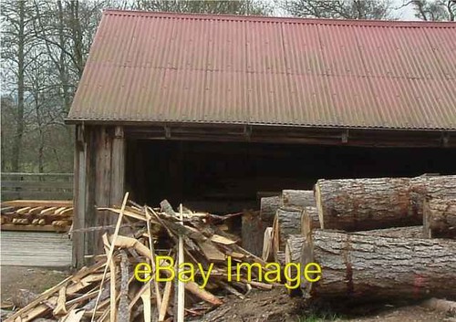 Photo 6x4 birse - photo,