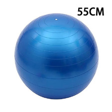 EXERCISE GYM BALL SWISS