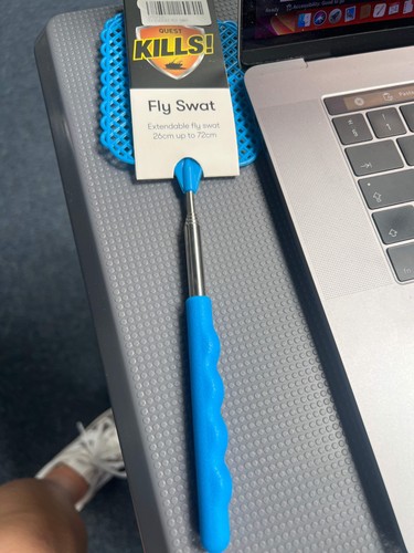 Quest fly swat - quest,