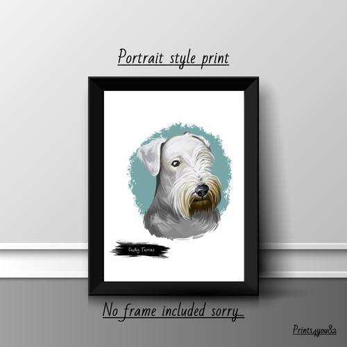Cesky terrier dog pet - terrier,