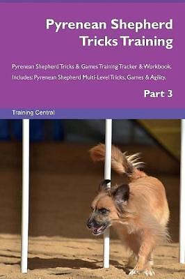 Pyrenean shepherd tricks - pyrenean,