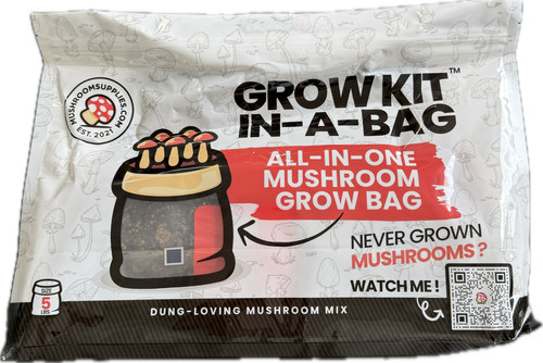Mushroom supplies grow - mushroom,