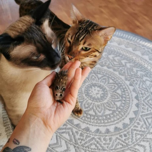 Cat toy rafa rat mouse - rafa,