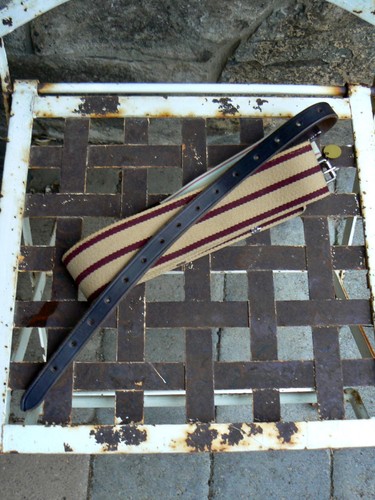 Striped surcingle secure - striped,