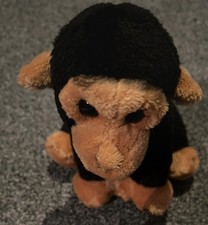 Monkey Teddy