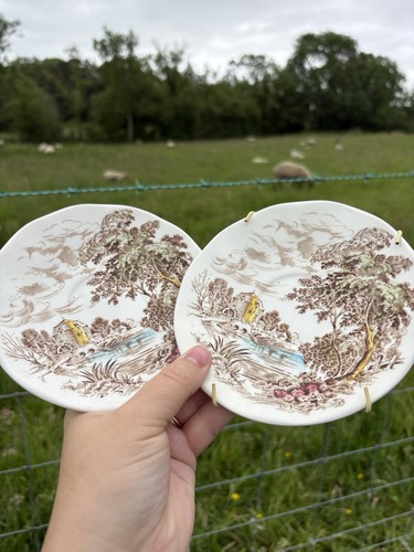 Plates from countryside - 2,