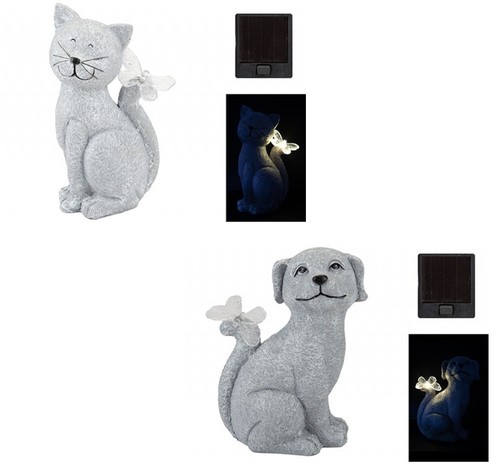 Outdoor garden cat dog - cat, or