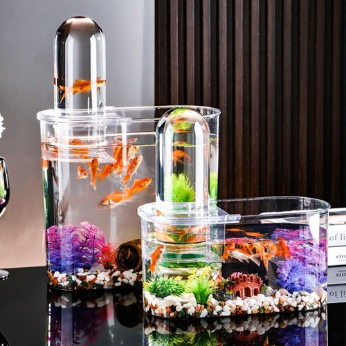 Aquarium fish tank bowl - aquarium,