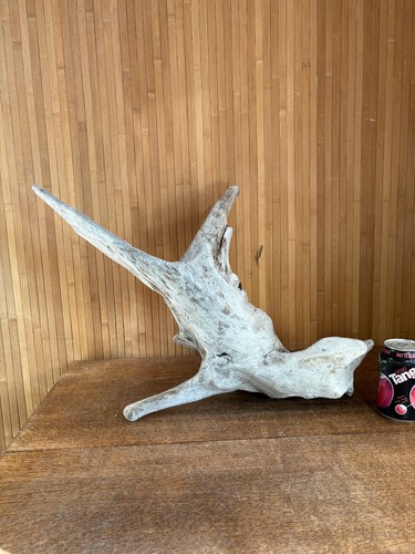 Driftwood piece large - large, silver