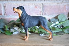 Rottweiler Ornament Best Of Breed Naturecraft Hand Painted In England Figurine K