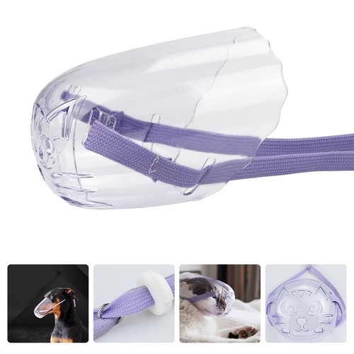 Cat mouth mask puppy - cat, muzzle