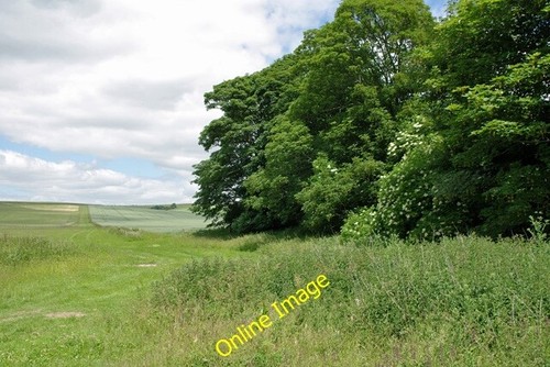 Photo 6x4 grassy area and - and, ride