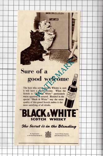 Black and white scotch whisky - black,