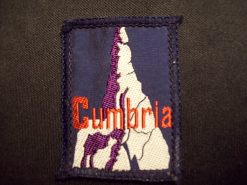 Vintage boy scouts badge - boy,