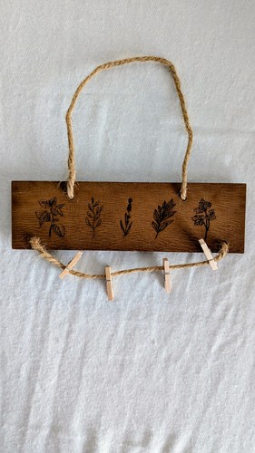 Witch casket herb drying - witch,
