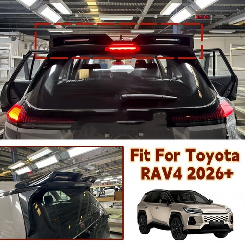 Rear trunk roof spoiler - trunk, wing