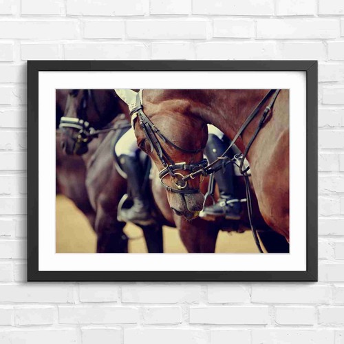 Brown hunter horse - brown,