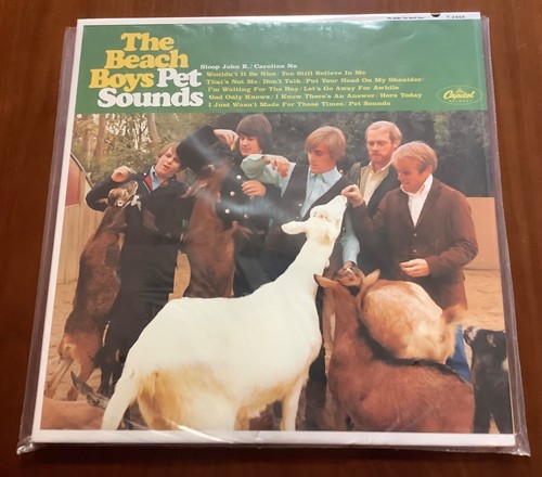 The beach boys pet - boys,