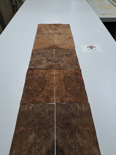 Wood veneer sample pack - veneer,