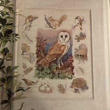 Nature wildlife woodland barn