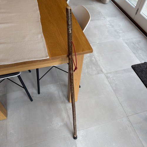 Hazel walking hiking stick - hazel,
