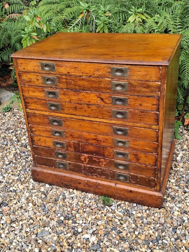 Plan chest pine antique - chest,,