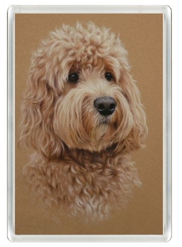 Labradoodle dog fridge - labradoodle,
