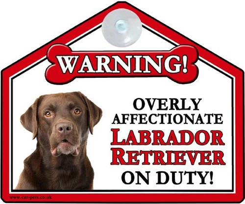 Labrador chocolate lab lover - chocolate,