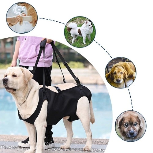 Dog lift support - harness, for