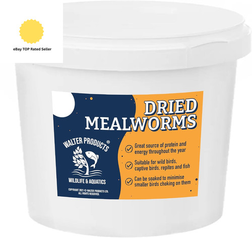 Walter meal worms - meal,