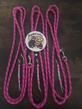 Ferret Puppy Lead Rat Rabbit