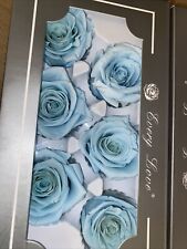 6 PRESERVED SKY BLUE REAL ROSES ETERNAL INFINITY LAST UPTO 1 YEAR 5/6cm