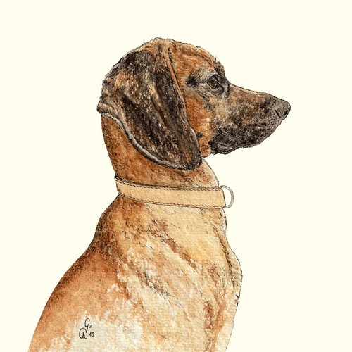 Paper - 4, x