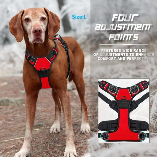 Rabbitgoo pull pet dog - rabbitgoo,