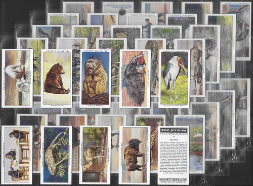 Hignett full set - set-, zoo