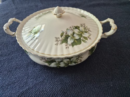 Royal albert trillium - albert,