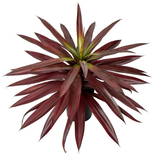 Large fake agave plant 3 - large,