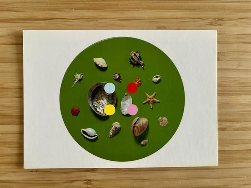 Damien hirst spot design - damien,