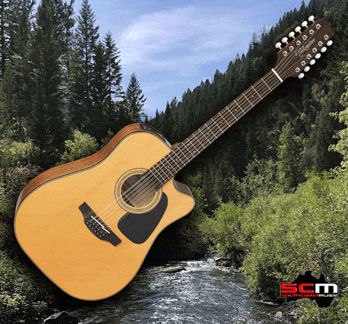 Takamine gd30ce12nat string - gd30ce12nat, 12