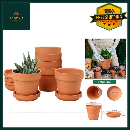 Terracotta clay plant pots - plant,