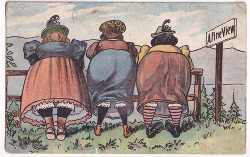 Fine view comic postcard - a,