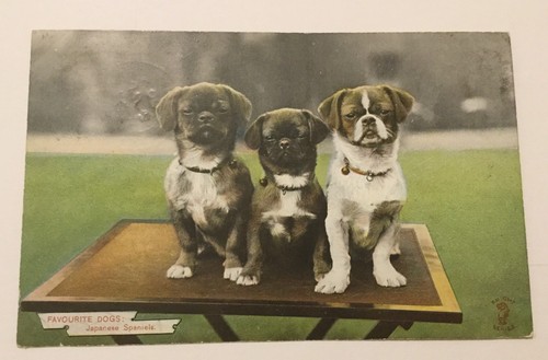 Vintage postcard favourite - -,