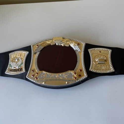 2010 wwe electronic - 2010,