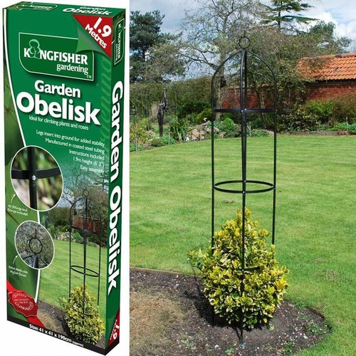 New garden obelisk - obelisk, climbing